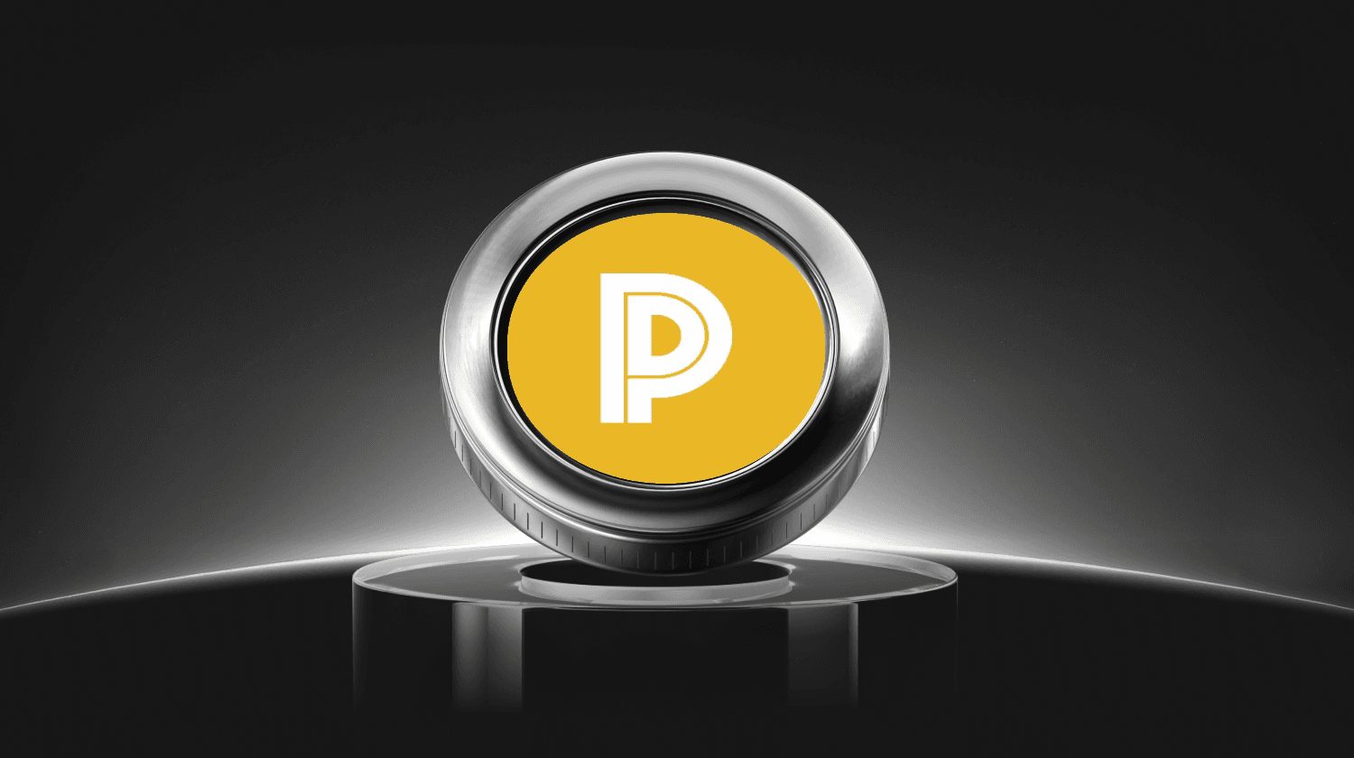 What is PRICELESS Coin: An Investor’s Guide to the Viral Meme Token